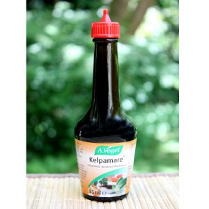 Kelpamare seasoning sauce | Ayurveda Parkschlösschen Online shop